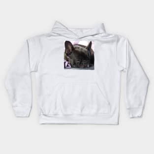 French Bully Kids Hoodie